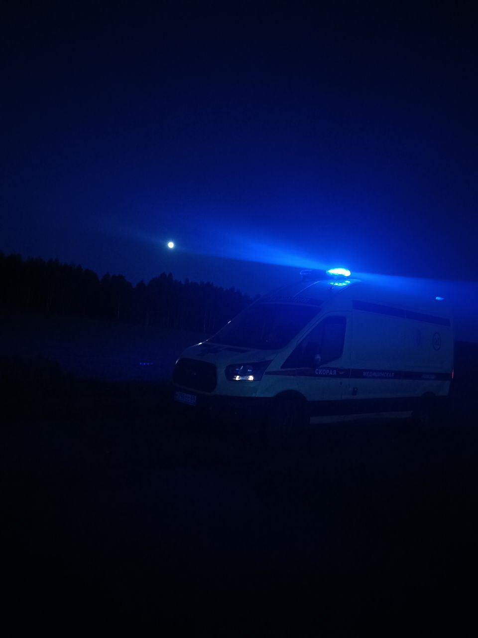 Фото 5 из галереи