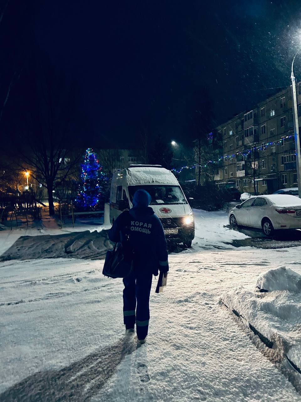 Фото 1 из галереи